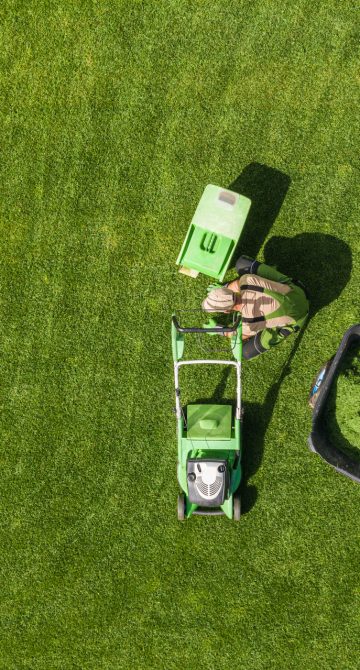 Entretien de jardin Marnes la coquette